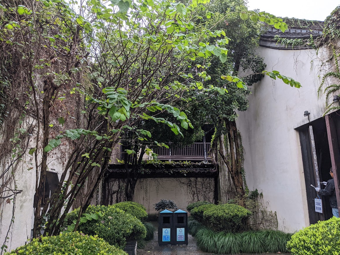 郁郁葱葱的庭院