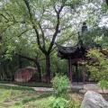 雨中访绍兴