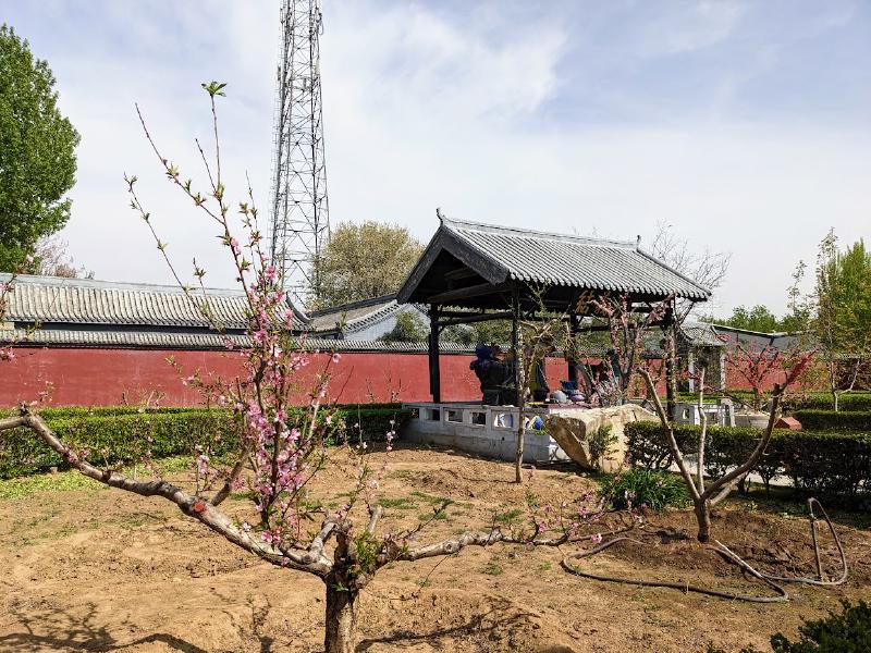 Featured image of post 古塔和桃花——涿州一日游